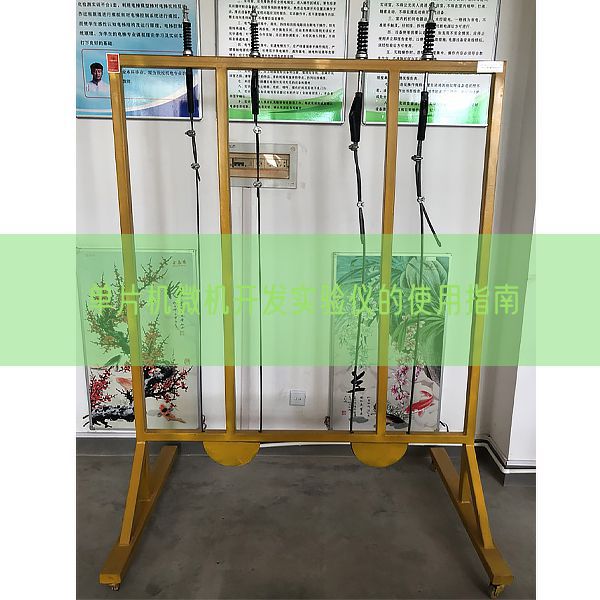 單片機微機開發(fā)實驗儀的使用指南(圖1) 單片機微機開發(fā)實驗儀的使用指南(圖1)