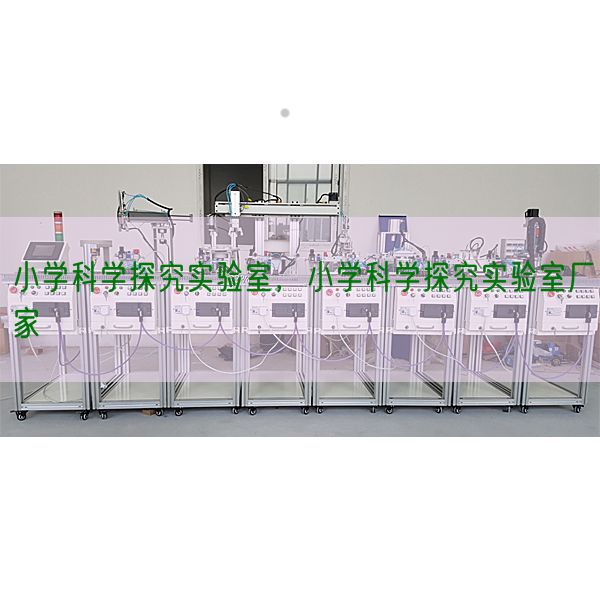 小學(xué)科學(xué)探究實(shí)驗(yàn)室，小學(xué)科學(xué)探究實(shí)驗(yàn)室廠家(圖1)
